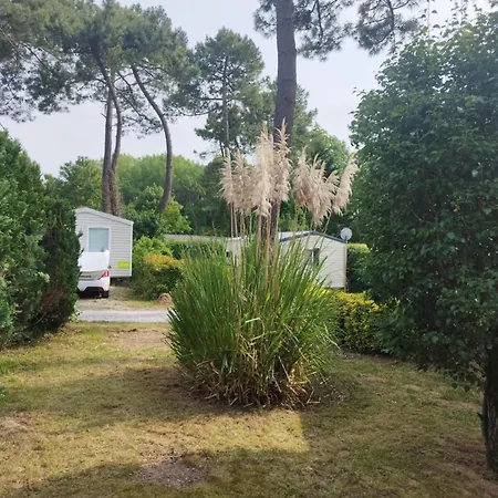 La Margotine *